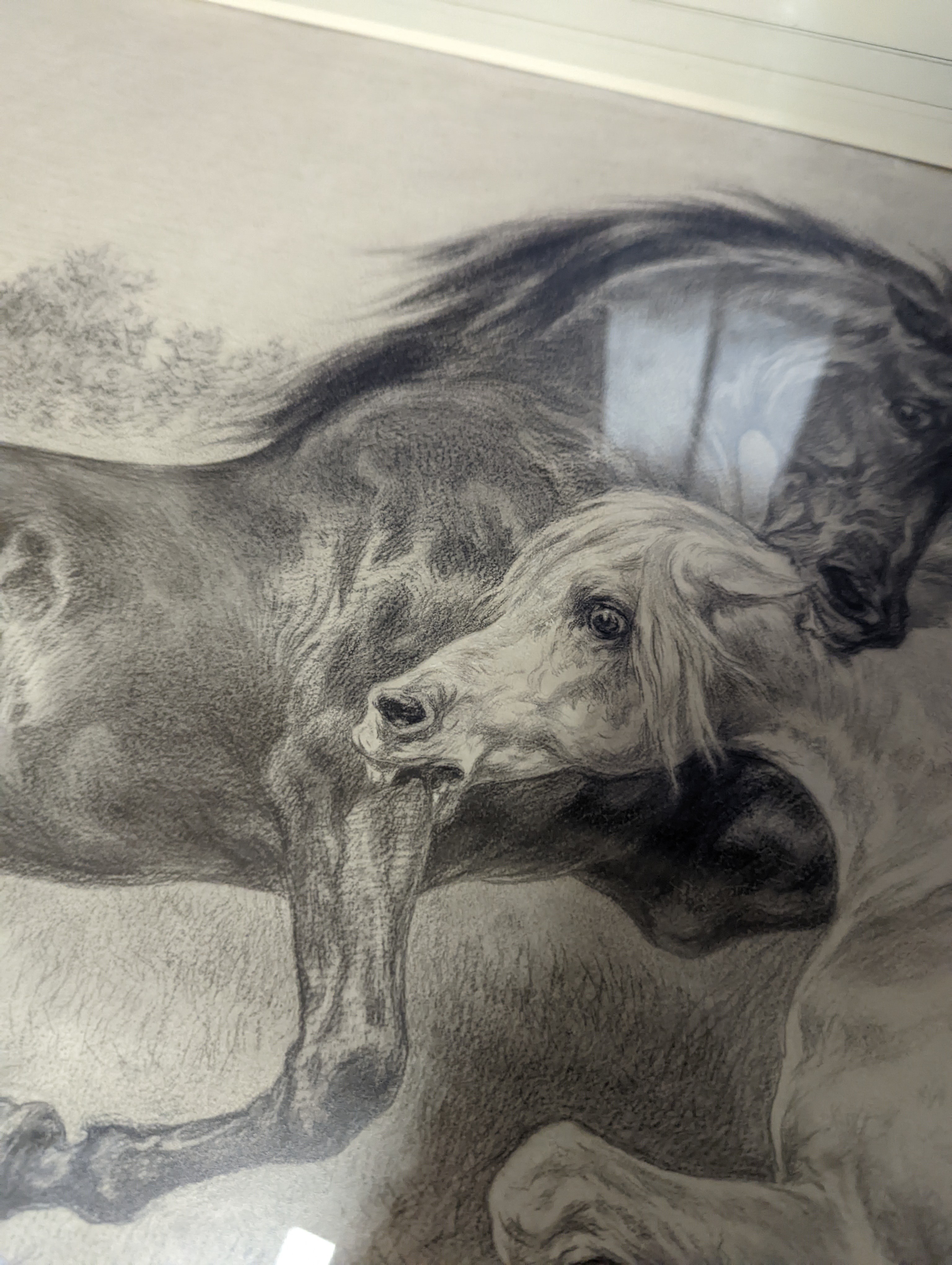Rosa Bonheur (1822-1899), charcoal and chalk, Stallion and mare, signed and dated 1896, 52 x 84cm